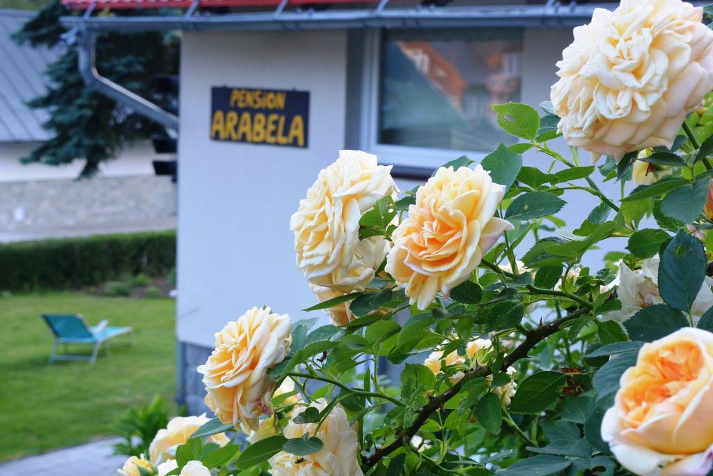 Pension Arabela Harrachov Exterior foto